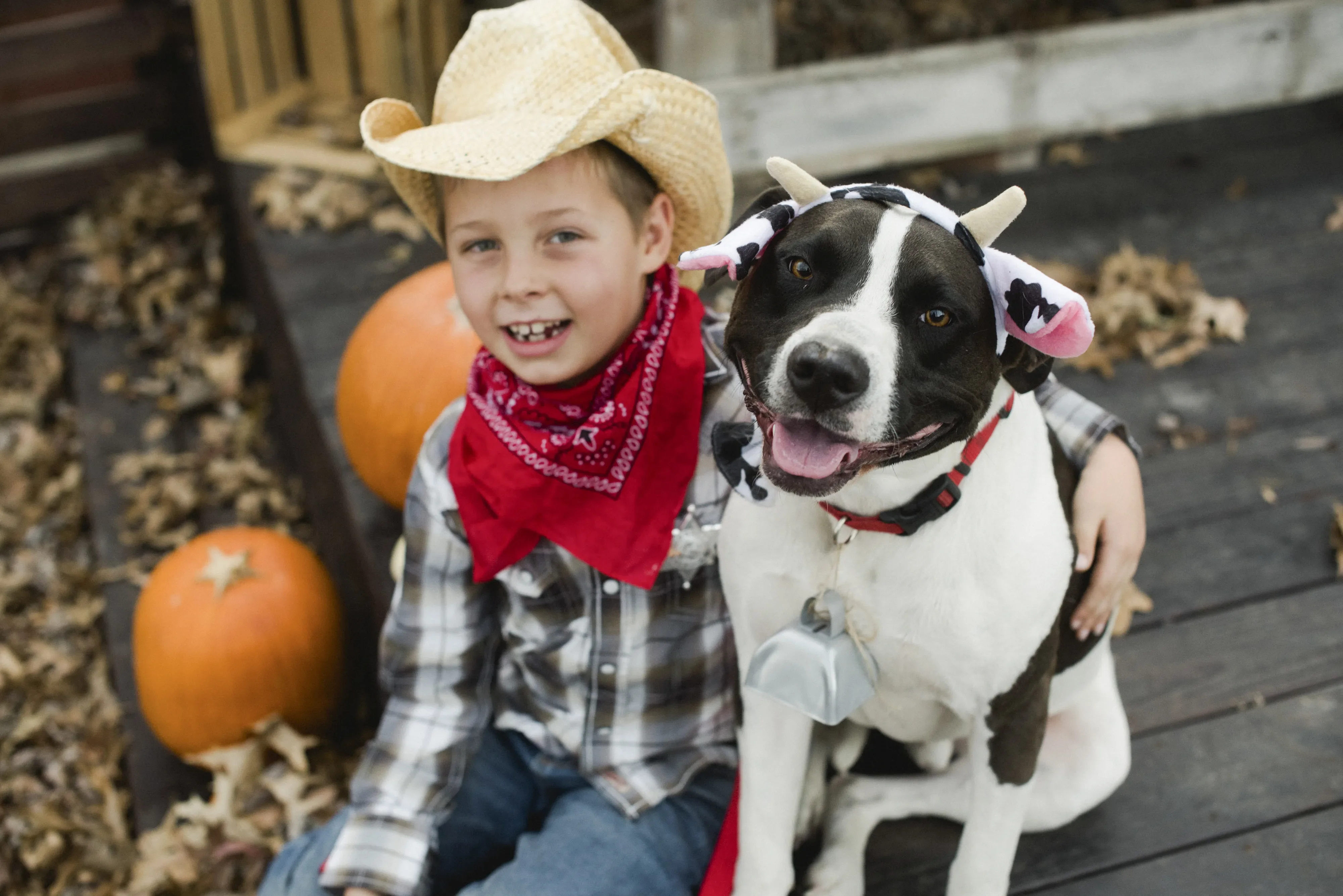 Niño disfrazado de vaquero abrazando a su mascota, con uno de los disfraces para perros más comunes: de vaquita.
