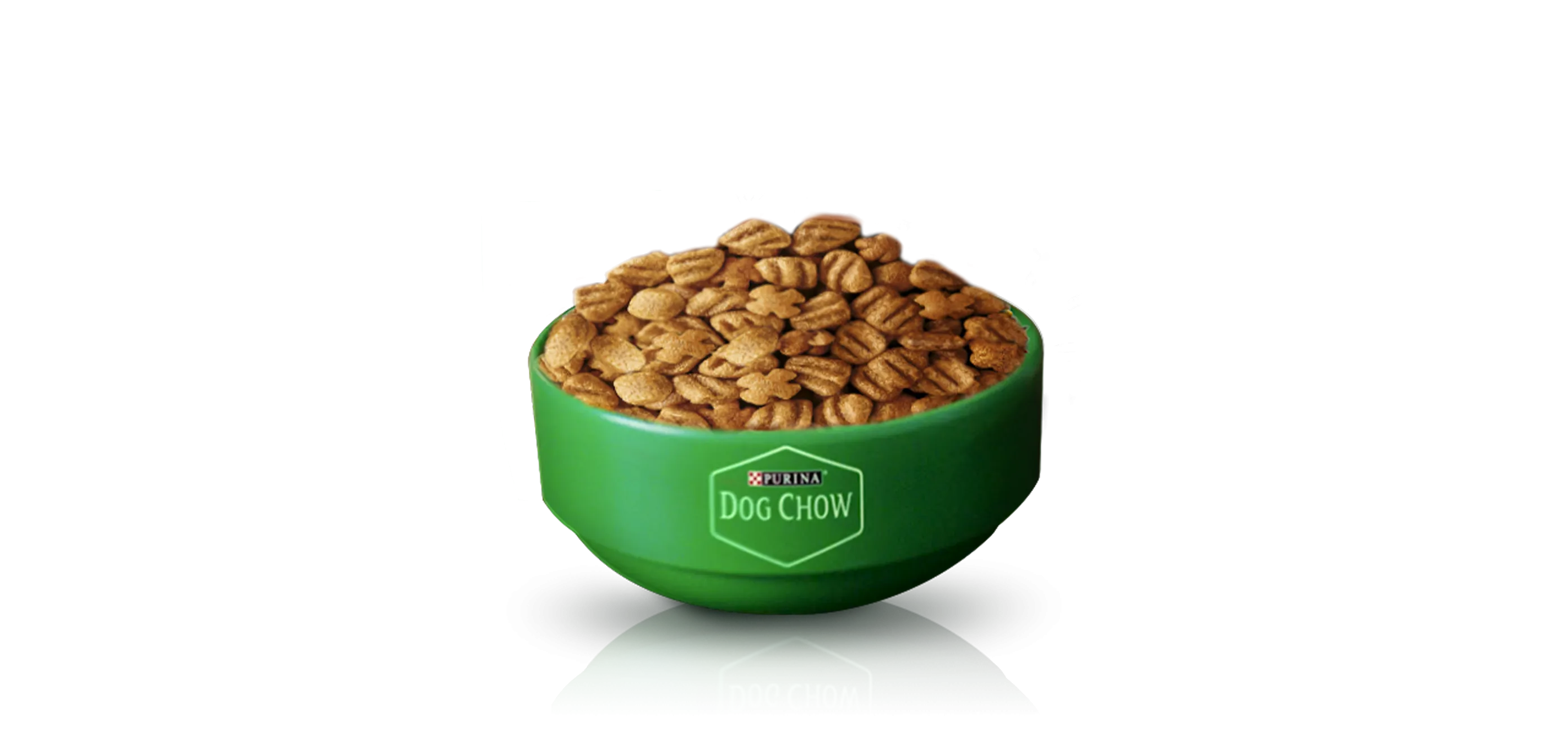 purina-dog-chow-bowl-dry.png