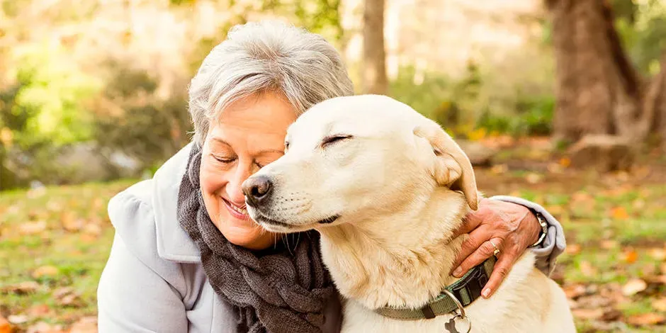 Aprende cómo cuidar a un perro senior, como esta tutora con su labrador, y disfruten juntos al máximo.
