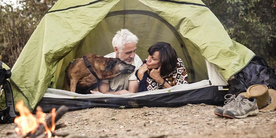 Perro de los llamados “sin raza” en carpa para camping acompañando a dos adultos mayores.