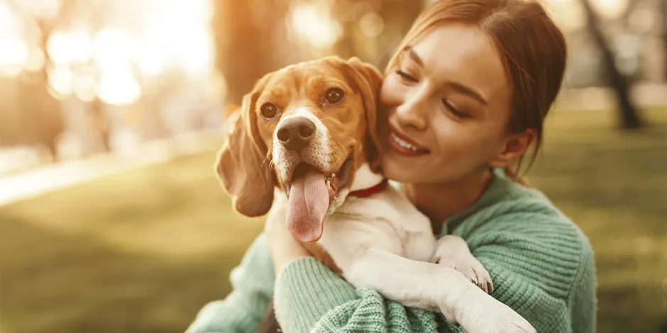 Beagle junto a su tutora. Los cuidados y nutrición correcta en casos de diarrea en perros le darán bienestar.