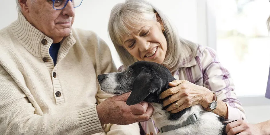 Pareja de adultos mayores junto a su mascota senior. Peso ideal en perros.